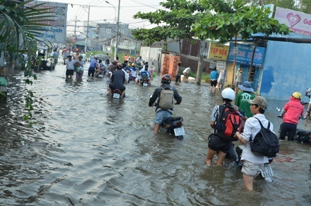 Toàn bộ phường Hiệp Bình Chánh bị nước nhấn chìm trong sáng 5/12
