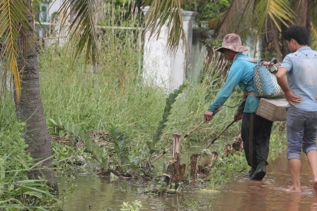 Xung điện ngay giữa đường để bắt cá