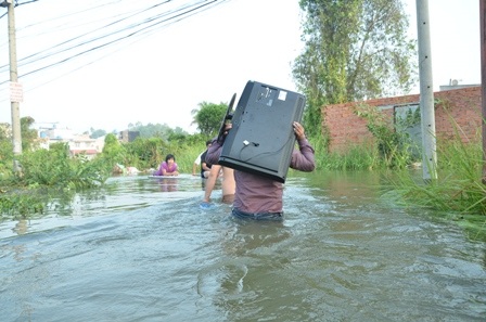 Hối hả chạy lũ