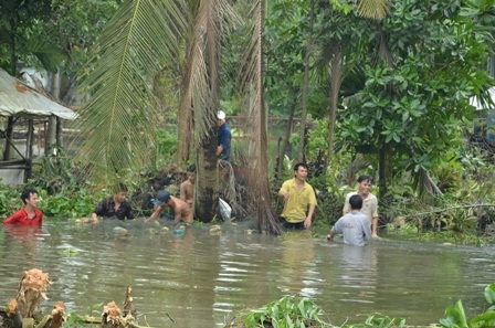 Một nhóm thanh niên kéo chài bắt cá tại điểm bờ bao bị vỡ - nơi cá tập trung nhiều nhất