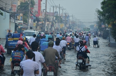 Giao thông tê liệt