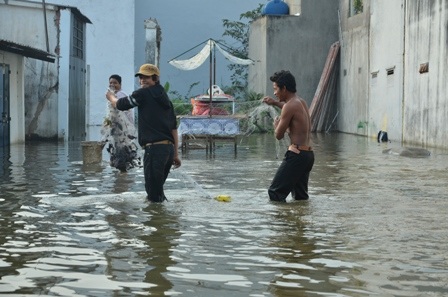 Thả lưới giữa phố Sài Gòn