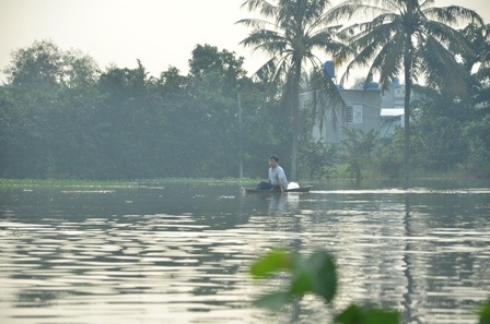 Một người chèo ghe thả lưới ngay ruộng hoa nhà mình