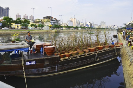 Thuyền hoa kiểng cập bến Sài Gòn - 1 Nhiều chủ ghe miền Tây bắt đầu cập bến Sài Gòn để bán hoa
