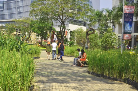 Độc đáo chợ nổi miền Tây trong hội hoa xuân 2014 - 7 Những cánh đồng lúa giữa Sài Gòn được nhiều bạn trẻ thích thú