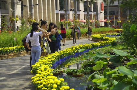 Độc đáo chợ nổi miền Tây trong hội hoa xuân 2014 - 1 Đường xuân tại khu đô thị Phú Mỹ Hưng (quận 7) dài 700 mét, uốn lượn theo hồ Bán Nguyệt