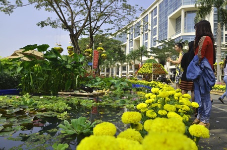 Cung đường thủy sinh - đường xuân với nhiều loại hoa cây kiểng mang đậm chất miền Tây