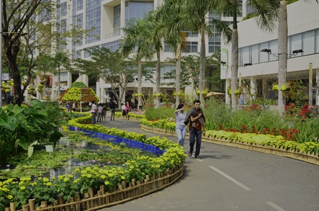 Cung đường thủy sinh - đường xuân với nhiều loại hoa cây kiểng mang đậm chất miền Tây