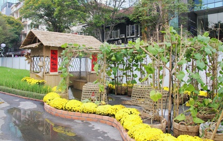 Giàn bầu trĩu quả