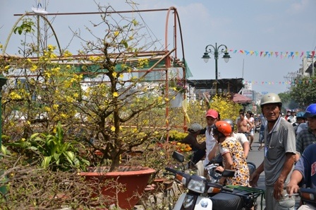 Tấp nập kẻ bán người mua tại chợ hoa Bến Bình Đông