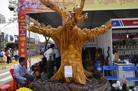 Kiểng “độc” giá gần... 2 tỉ đồng - 7 Khóm cảnh có hình thù lạ mắt mới xuất hiện năm nay