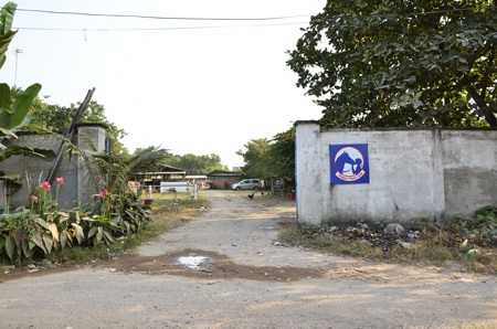 Ghé thăm trường dạy cưỡi ngựa duy nhất ở Sài Gòn - 2 Sân tập của Saigon Pony Club