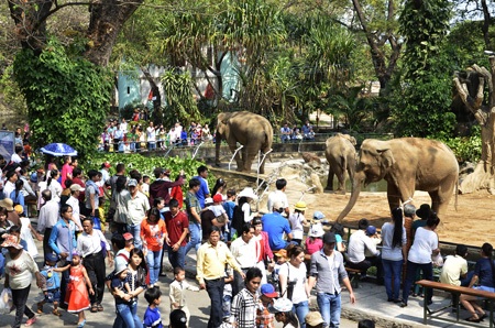 Khu vui chơi đông nghẹt sáng mùng 2 Tết - 5 Nhiều em nhỏ được bố mẹ dẫn đi vui chơi, tham quan Thảo Cầm Viên