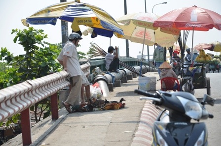 Người dân bày bán gia cầm sống trên cầu Trường Đai