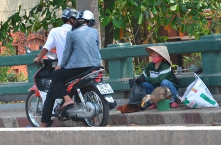Người dân bày bán gia cầm sống trên cầu Trường Đai