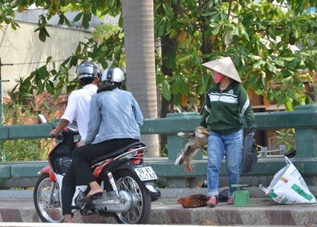 Gia cầm sống được bày bán trên cầu An Lộc (quận Gò Vấp)