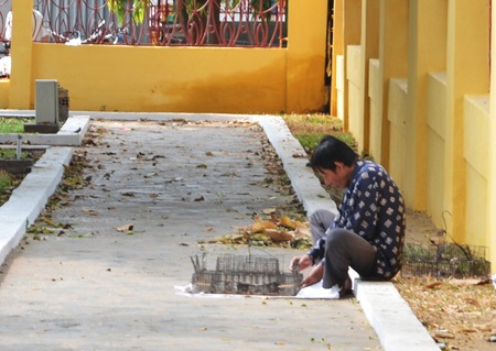 Người đàn ông này đang dùng bẫy để bắt lại những chú chim vừa được người mua phóng sinh