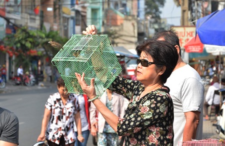 Lễ phóng sinh đã bị làm méo mó