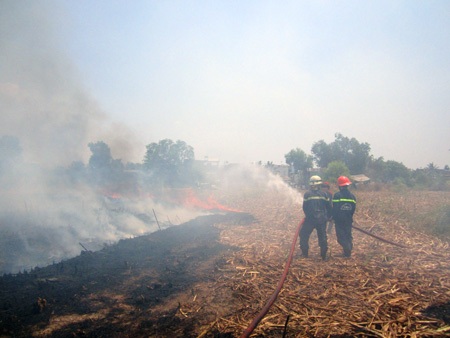 Hiện trường vụ cháy bãi mía vào sáng cùng ngày