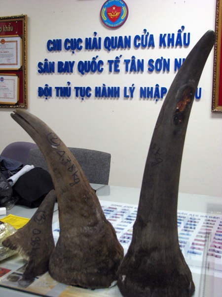 Phát hiện hơn 13kg sừng tê giác Châu Phi nhập lậu vào Việt Nam - 1 Số sừng tê giác mà cơ quan chức năng thu giữ