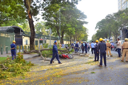 Hiện trường cây xanh đè lên người đi đường vào sáng 5/4