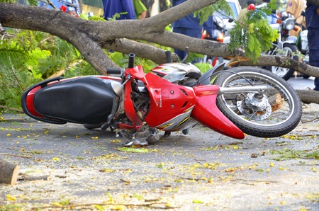Chiếc xe gắn máy của nạn nhân bị cây xanh đè trúng