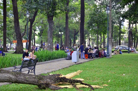 Cành cây to gãy gục, hai mẹ con nhập viện cấp cứu - 3 Nhiều người đang ngồi chơi trong công viên may mắn thoát chết khi một cành cây bất ngờ gãy