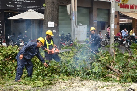 Công nhân Công ty cây xanh tiến hành thu dọn hiện trường