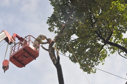 Tháo dỡ phần móng trụ đèn chiếu sáng