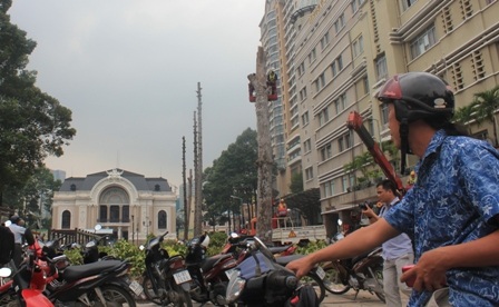 Người dân TP tiếc nuối những cây cổ thụ hàng chục năm tuổi bị đốn hạ