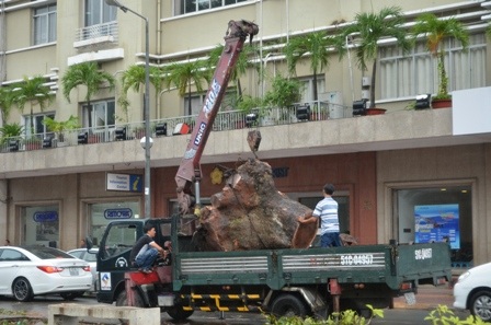 Hàng loạt cây cổ thụ ở trung tâm TPHCM bị đốn hạ để lấy mặt bằng thi công nhà ga metro