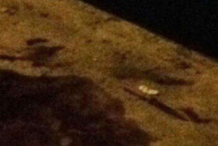 Con dao Thái Lan mà Hiền dùng để gây án