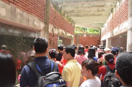 Chen chúc thăm quan vườn thú