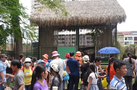 Thích thú chiêm ngưỡng những chú hưu cao cổ ở Thảo Cầm Viên