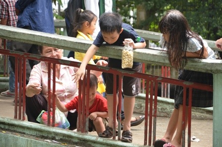 Khu ca nhạc dành cho thiếu nhi hút khách