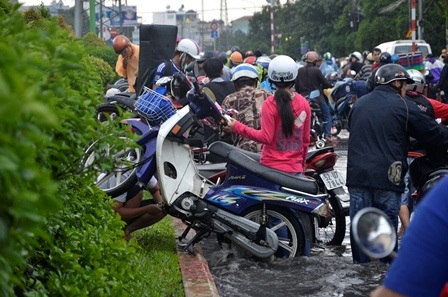 Dịch vụ lau bu -gi đắt khách