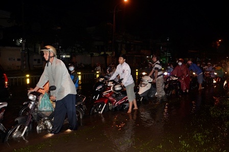 Xe chết máy la liệt