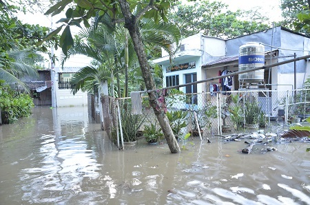 Nhiều nhà dân, khu dân cư bị triều cường tấn công