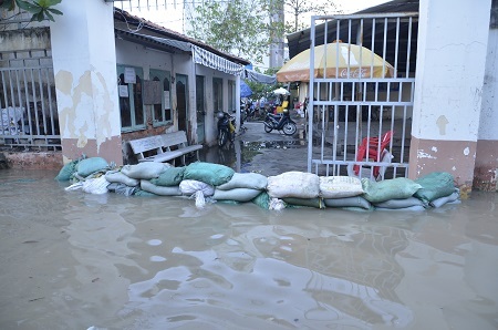 Một công ty phải đắp đê ngăn lũ