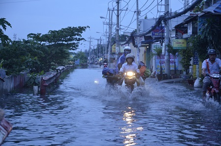 Đường Bến Phú Định (quận 8)