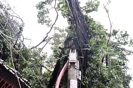 Cây xanh ngã đè lên dây điện, làm sập tường của nhà hàng