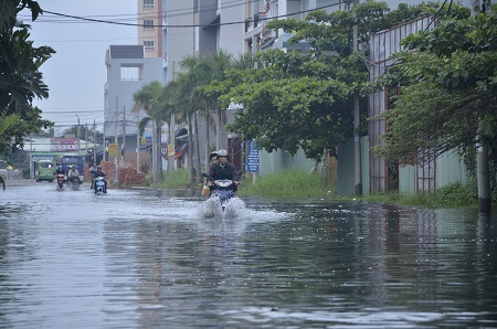 Đường số 44 (thuộc phường 6, quận 8) chìm trong dòng nước đen ngòm