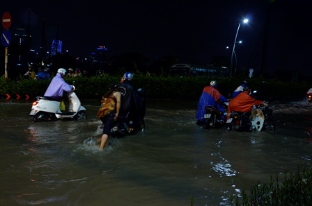 Các phương tiện chết máy la liệt