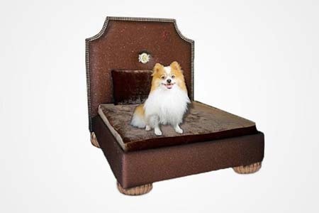 “Sốc” với những món đồ chơi siêu đắt cho thú cưng của “đại gia”