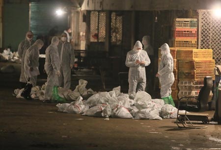 Trung Quốc: nạn nhân thứ 6 tử vong, nhiều chợ gia cầm bị đóng cửa - 1 Cơ quan chức năng đem gia cầm tại chợ Huhuai, Thượng Hải đi tiêu hủy