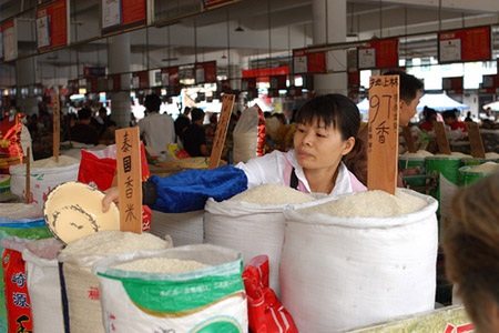 Trung Quốc: Gạo chứa chất gây ung thư bán tràn lan - 1 Gạo nhiễm catmi được bán tràn lan tại Trung Quốc