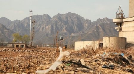 Cỏ dại mọc khắp nơi