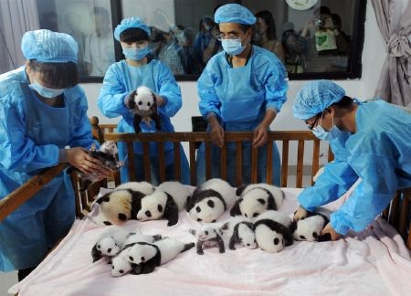 Thủ tướng Nguyễn Tấn Dũng tuần qua đã có chuyến công du bận rộn và rất được chú ý tới Pháp và Mỹ.