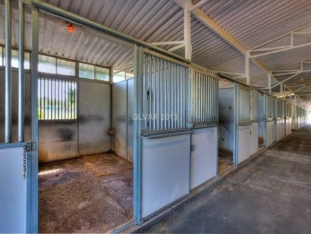 Choáng với siêu biệt thự 1400 tỷ đồng có vườn thú và sân bay riêng - 14 Khu vực huấn luyện ngựa