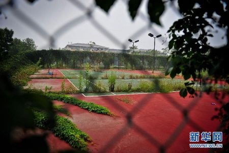 Khu biệt thự lớn nhất Trung Quốc "hóa" thành phố ma - 10 Sân tennis đầy cỏ dại